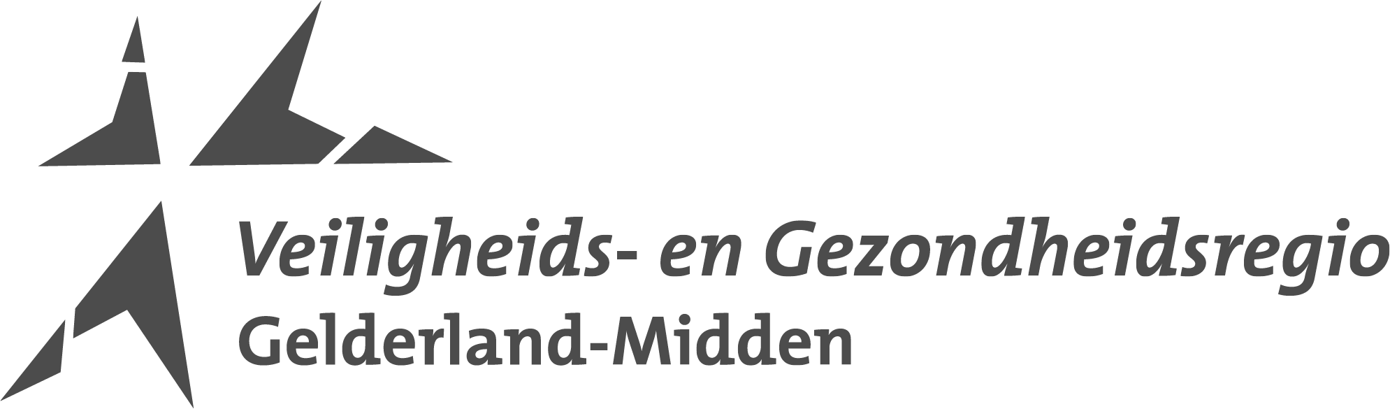 Logo VGGM
